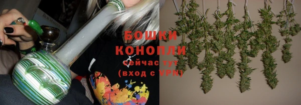 2c-b Гусев