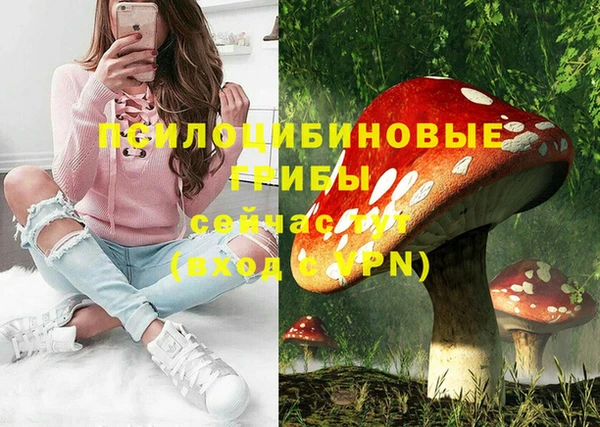 2c-b Гусев