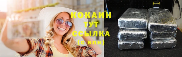 дживик Гусь-Хрустальный