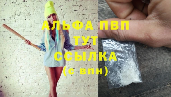 2c-b Гусев