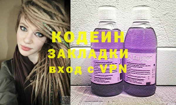 2c-b Гусев