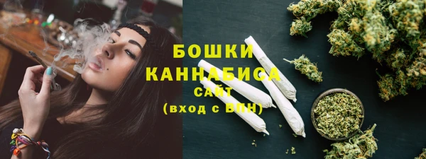 дживик Гусь-Хрустальный