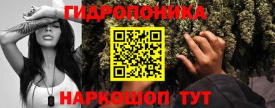 2c-b Кинель
