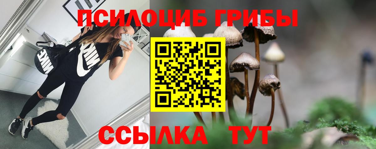 Псилоцибиновые грибы Magic Shrooms  купить наркотик  Псилоцибиновые грибы мицелий  Наро-Фоминск 